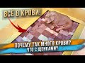 Откуда столько крови? Где щенки?