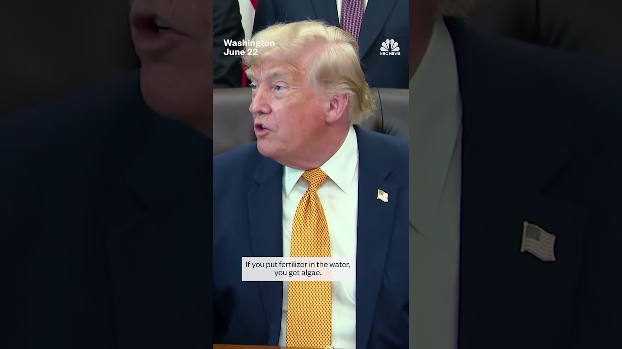 Trump says vandalism responsible for Reflecting Pool damage Trump says vandalism responsible for Reflecting Pool damage