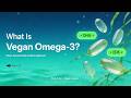 What Is Vegan Omega 3? Understanding Plant Based DHA &amp; EPA