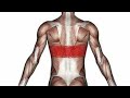 MID BACK PAIN RELIEF IN TWO SITTING,  BEST QUALITY PHYSIOTHERAPY TREATMENT