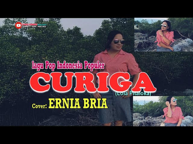 CURIGA-(Lola Pitaloka)-Cover-ERNIA BRIA-Studio DONBERS MALAKA Chanel (SDM)-TV Malaka class=