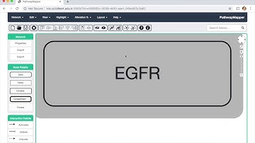 PathwayMapper 2 Collaborative Editing and Analysis of Pathways