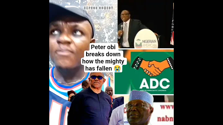 Peter obi breaks down how mighty has fallen #adc #coalitionpolitics