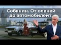 Собянин. От оленей до автомобилей?