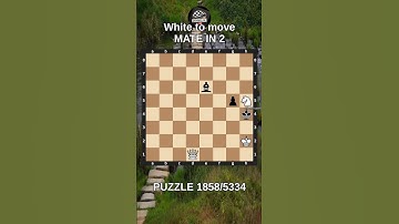 Chess puzzle series 🧩1858/5334 #chess #puzzle #learnchesstactics #magnuscarlsen #polgar #chessbooks