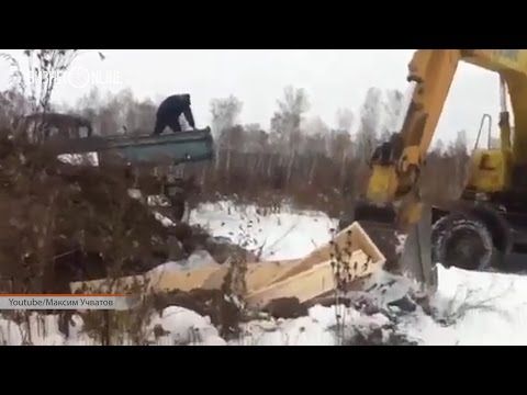 Власти Кемерово проверят видео со скидыванием в траншею гробов