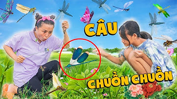 Thử Thách 24H Đi Săn Chuồn Chuồn - Tuổi Thơ Dữ Dội ❤ KN CHENO Chị Hằng