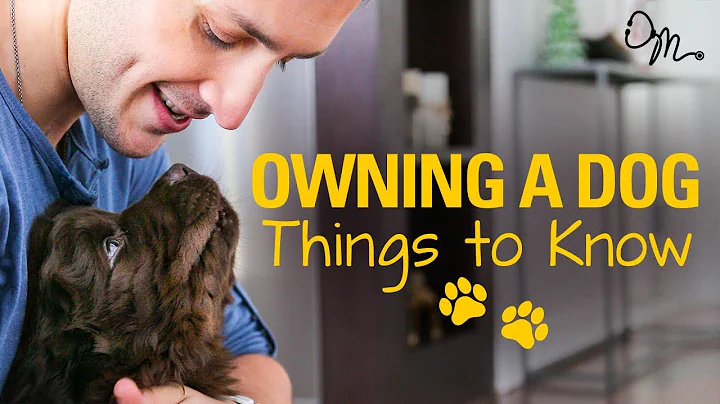 OWNING A DOG | Things to Know Before Getting a Puppy! | Doctor Mike - DayDayNews