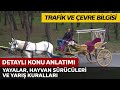 Trafik ve Çevre Bilgisi / Yayalar, Hayvan Sürücüleri ve Yarışlar Hakkında Kurallar