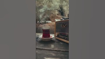 محمد صديق المنشاوي | الم يجدك يتيما فاوى ووجدك ضالا فهدى |  سورة الضحى