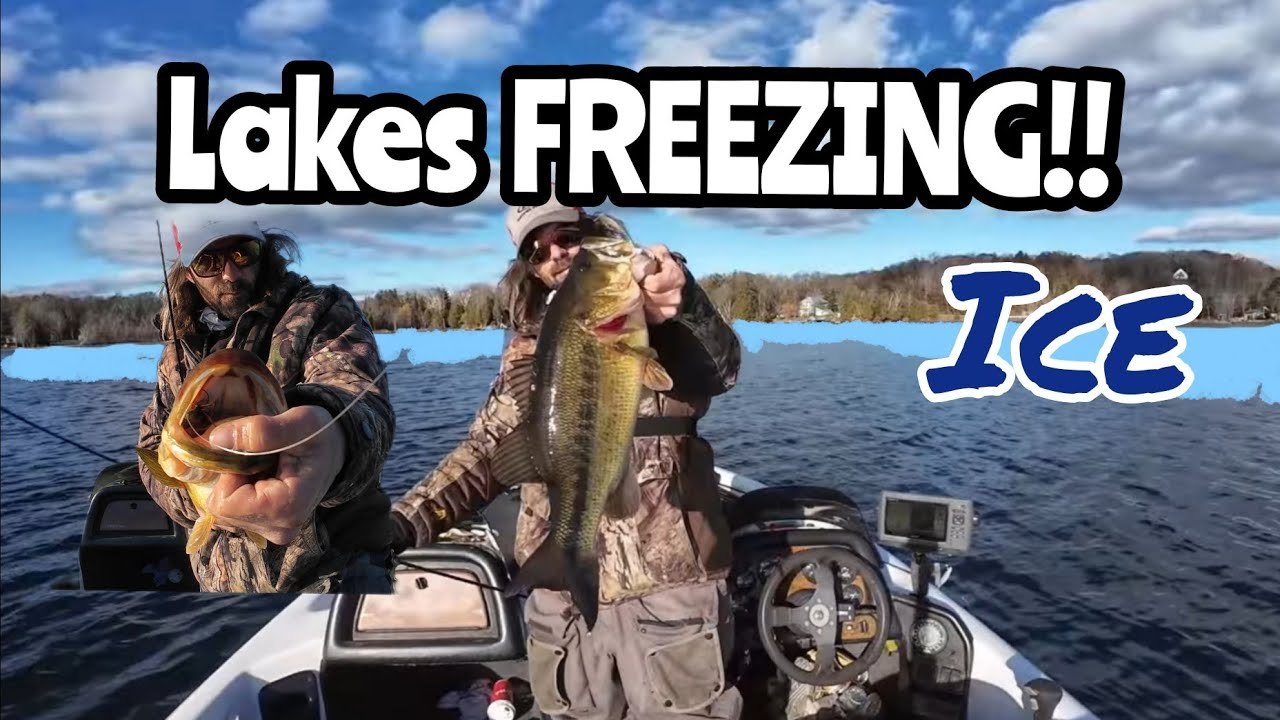 Big Winter Largemouth and Smallmouth Bass