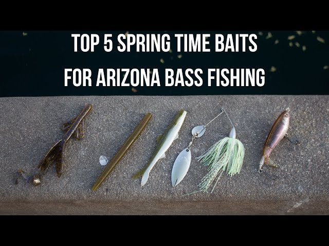 Top 5 Spring Bass Lures For Arizona - YouTube Top 5 Spring Bass Lures For Arizona - YouTube