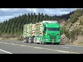 Trucks on Tar Hill New Zealand June 2020