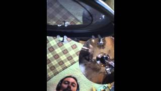 Envenomed - Necrovicio