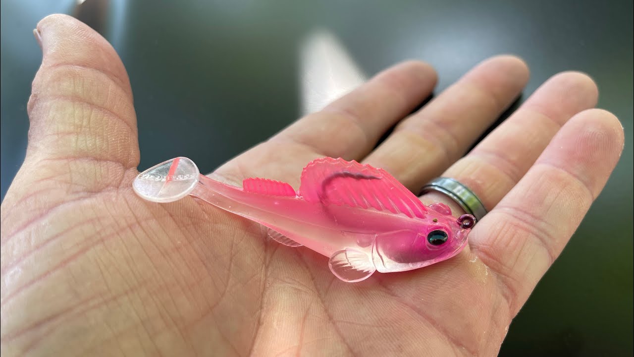 PINK Will Out Fish All Other Lure Colors Under THESE Conditions