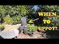 Watch this before up potting your plants