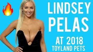 Lindsey Pelas 2018 Babes In Toyland Pet Edition Red Carpet