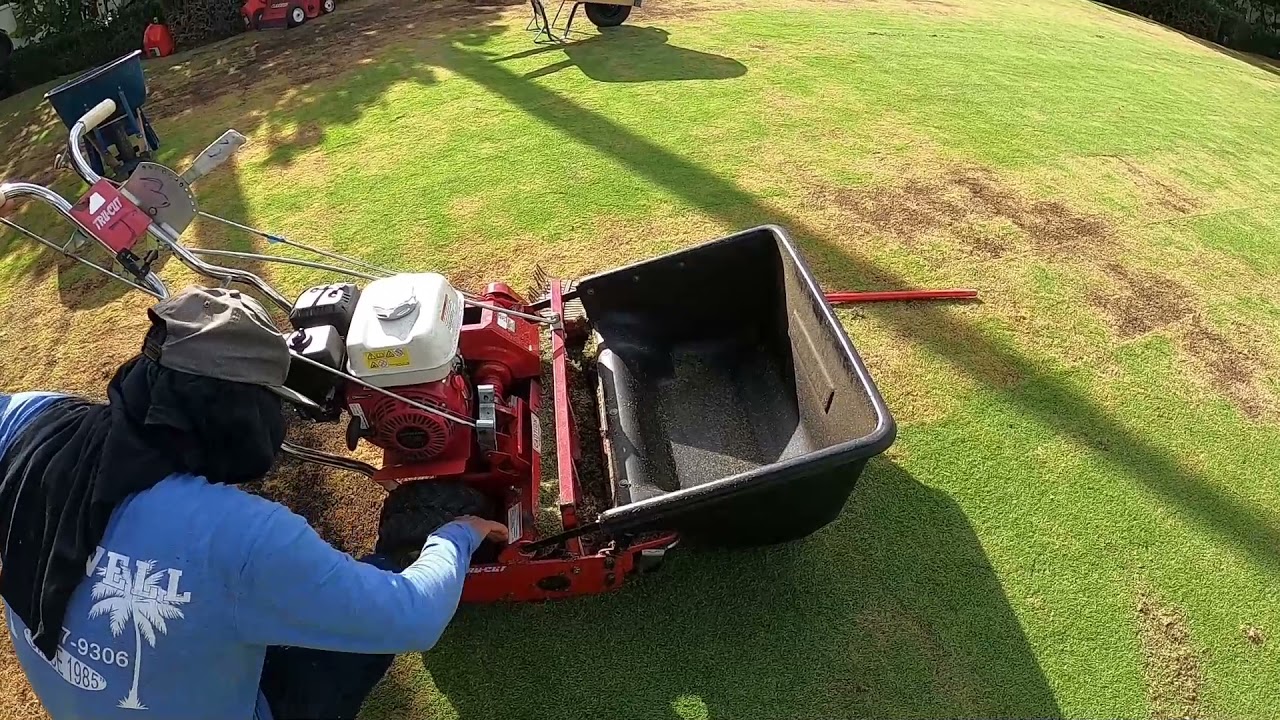 Aeration and Verticutting MASSIVE Zoysia Lawn YouTube