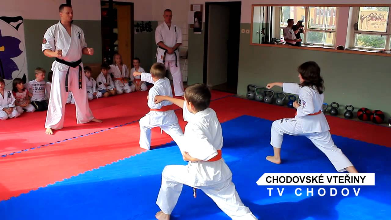 ����� Lyka Labs �������������: ����.