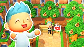 Animal crossing new horizons gives the player ability to create money
trees, so i made an orchard. have been planting trees for 14 days and
didn'...