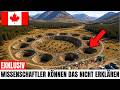 Kanada Ließ 16 Bisons In Einem Toten Tal Frei - Was Dann Geschah, War Unglaublich