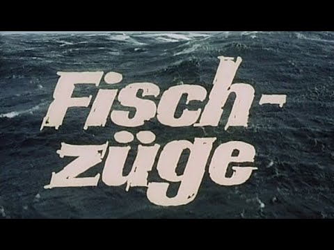 Fischzüge Teil 1