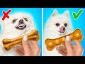 When You Have A Cute Naughty PETS🐶🐱 Priceless GADGETS And HACKS For PET LOVERS