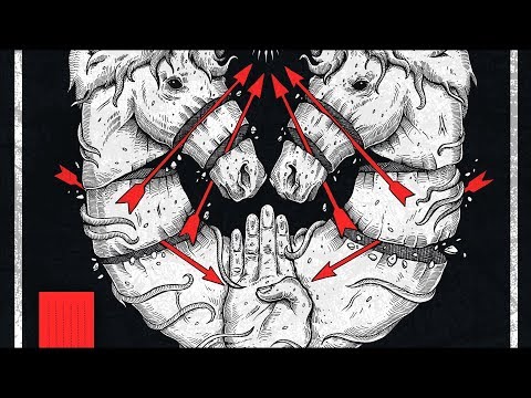 Ivory & Ecraze & Graphyt & Samplifire - Animalz
