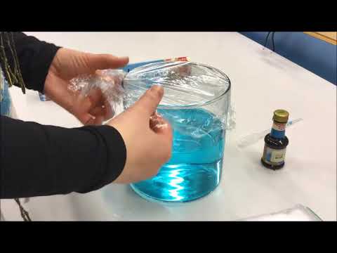 Video: Mitkä ovat veden kierron 4 vaihetta?
