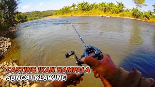 CASTING HAMPALA SUNGAI KLAWING PURBALINGGA MENGGUNAKAN ROD LEMOREN V2 BAITCASTING