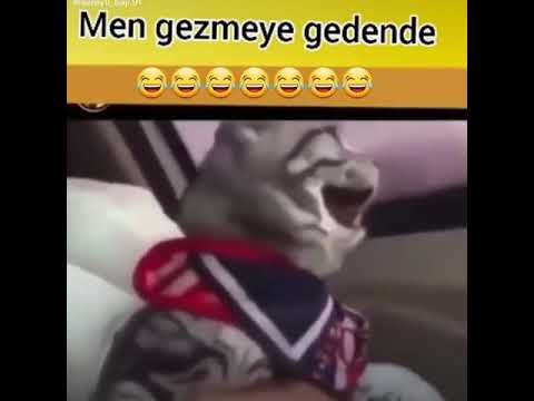 men gezmeye gedende