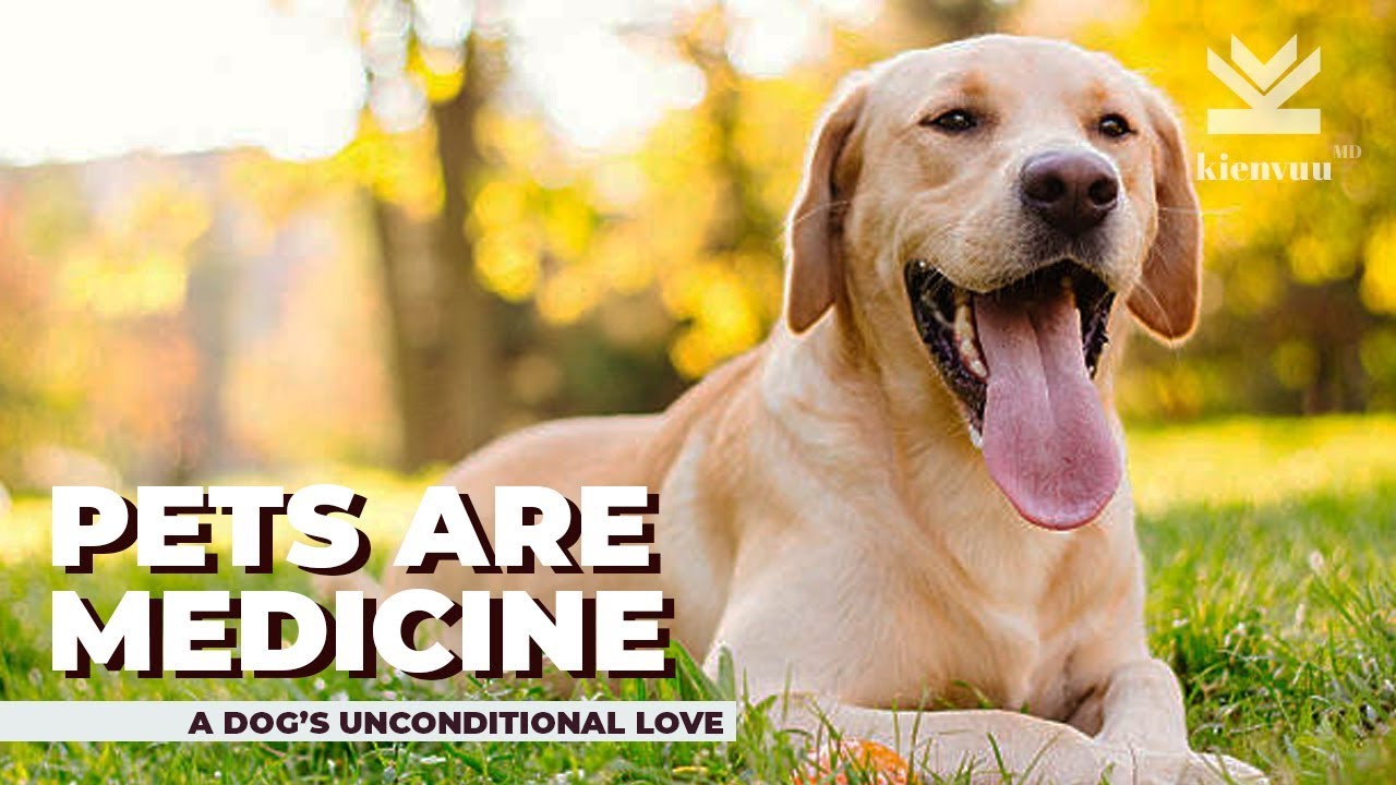 dogs love is unconditional