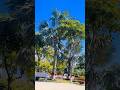 Powerful Sights of Nature Karachi #saroadcover #travelvideo #rain