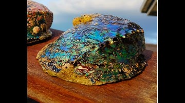 How to polish paua (abalone) shell, fast and easy NO POWERTOOLS - NZ