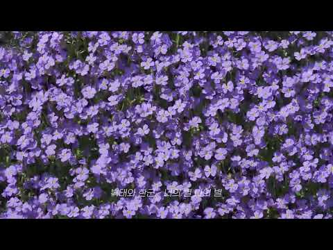 [𝐏𝐥𝐚𝐲𝐥𝐢𝐬𝐭🎧] 가끔은 모든 게 지나가고 난 후의 잔잔한 파도의 맛을 느껴보자.