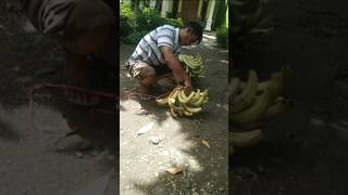 Pisang apakah ini ??? Terlihat sangat enak #shorts