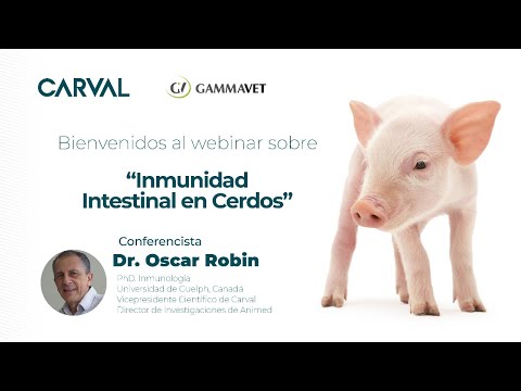 Vídeo: Ácidos Grasos, Inflamación Y Salud Intestinal En Cerdos