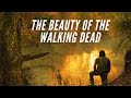 The beauty of the walking dead