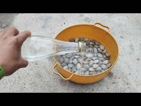 60度白酒倒入花甲中，害怕的事情还是发生了，寄生虫立马浮出水面