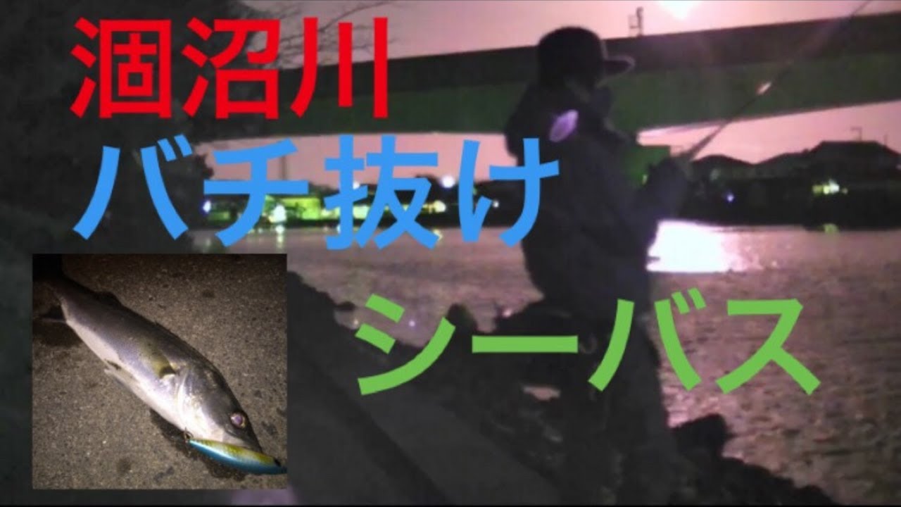 シーバス 涸沼川バチ抜け爆釣 Youtube