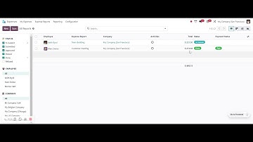 Delete Expense Reports - Odoo 17