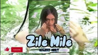 Lagu Enak Terbaru | Zile Mile - Naldhy Nbrt | (party)