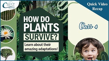 How Plants Adapt to Their Environment | Class 4 Science Olympiad Prep | CREST Olympiads