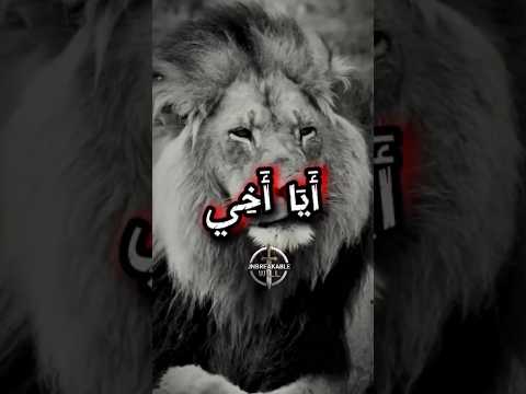 أين الأخ الحقيقي في هذا الزمن كلمات ستلمس قلبك أخي الأخوة تحفيز  حكمة كلام من ذهب