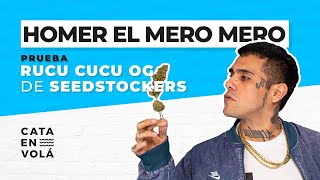 HOMER EL MERO MERO: RIMAS CALLEJERAS