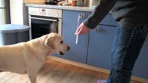 Unit 2+3 Less7+15 Use a target to teach a new behavior