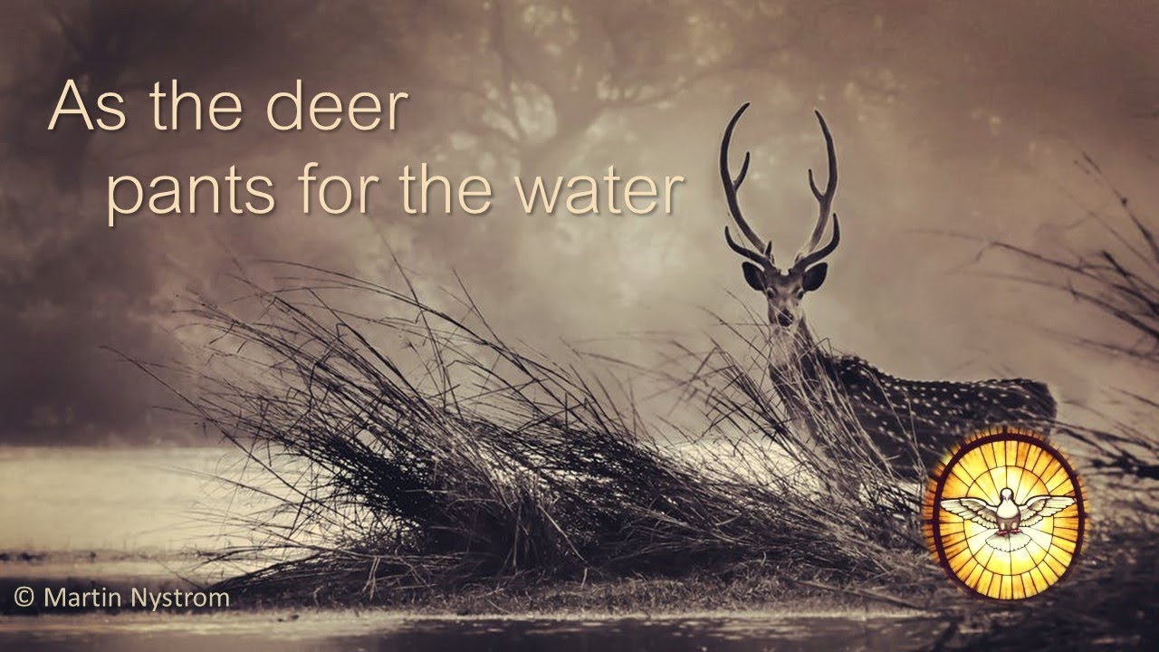 As the Deer Pants for the Water Brooks  Deshen Daily