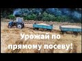 Урожай пшеницы по прямому посеву и дисковке. Как посеешь, той пожнешь!?