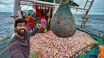 MASSIVE FISHING DAY 🤩🌊 Boat Filled with Kili Fish Catch | UNCUT VIDEO‼️.