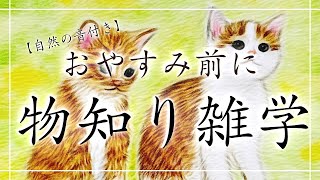 【睡眠導入雑学】物知り雑学・自然の音付き【寝落ち用・深い睡眠・リラックス】